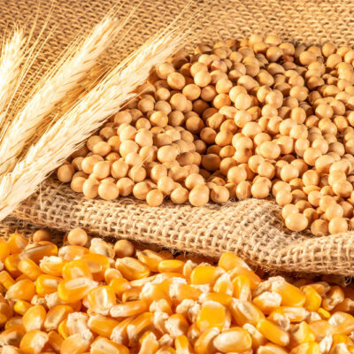 Rheumatoid arthritis – Foods to avoid