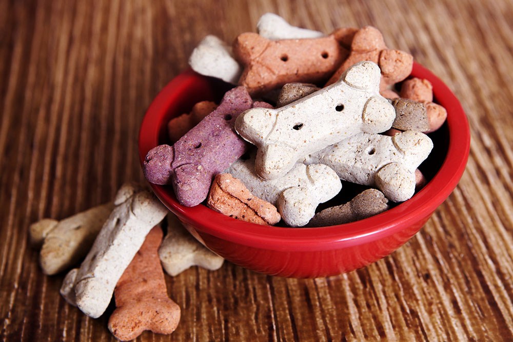 Black Friday 2023 – Top 10 Dog Food Deals to Anticipate